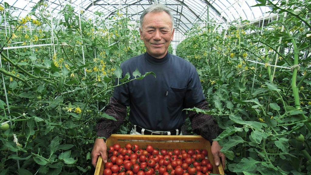 トマトの直接販売100％、顔が見える野菜を届ける【農業王2024：北岸