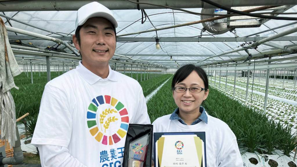 ニラ産地の高知県でニラ一本に注力して単収と秀品率をアップ！【農業王2025：田村農園】