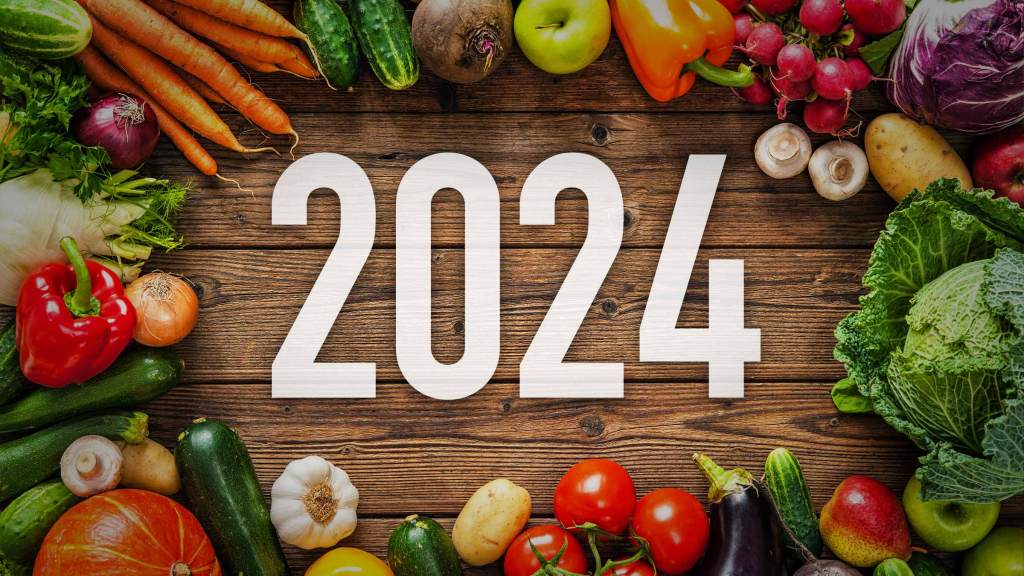 2024年版「儲かり野菜」ランキング！ 所得率48％超の意外な1位とは？